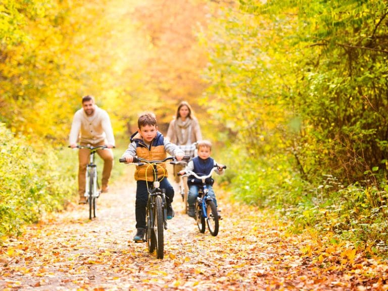 7 Ideas Para Descubrir La Naturaleza En Familia - BAYARD REVISTAS ...