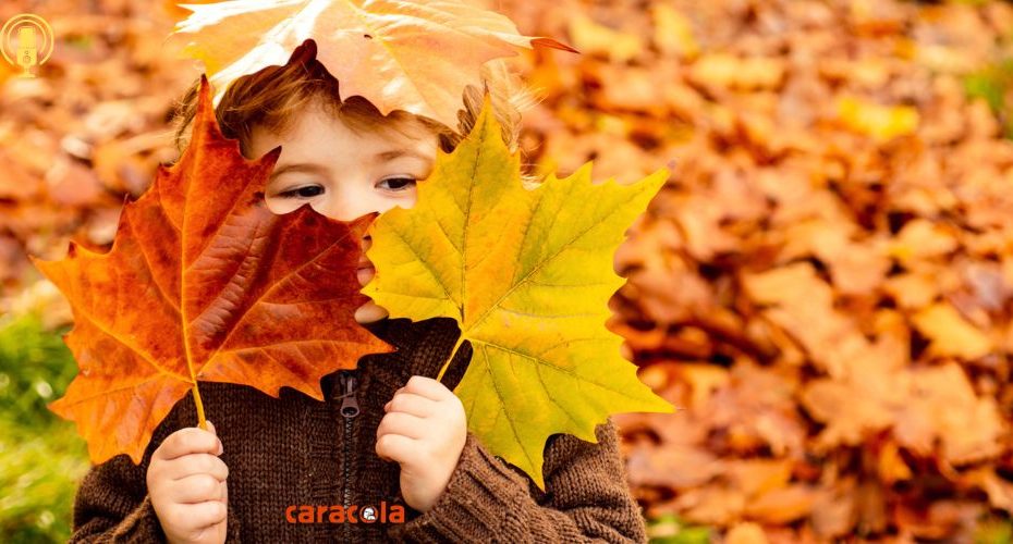 Podcast para niños: ¿Por qué los árboles se quedan sin hojas en otoño? -  BAYARD REVISTAS Hacemos pequeños grandes lectores... felices